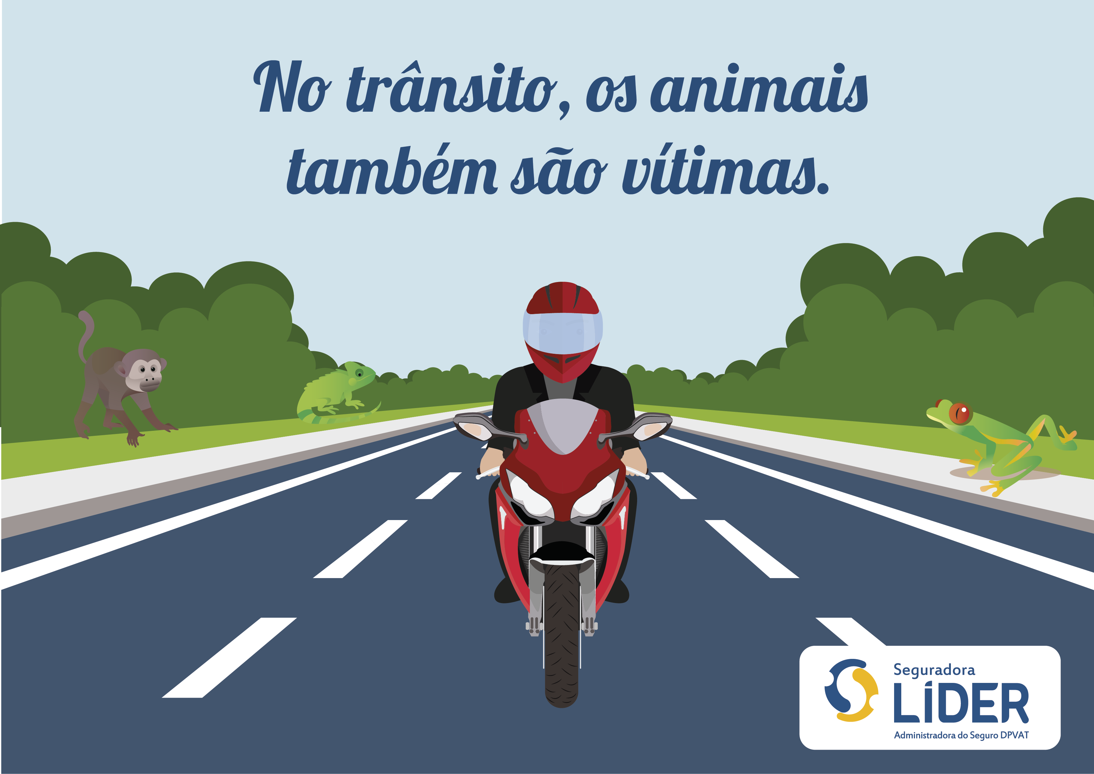 Quinze animais morrem por segundo atropelados em estradas brasileiras